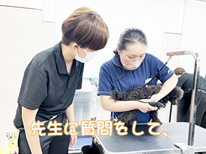 １年生のトリミング実習♪